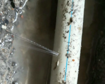 麟游卫生间测漏水多少钱